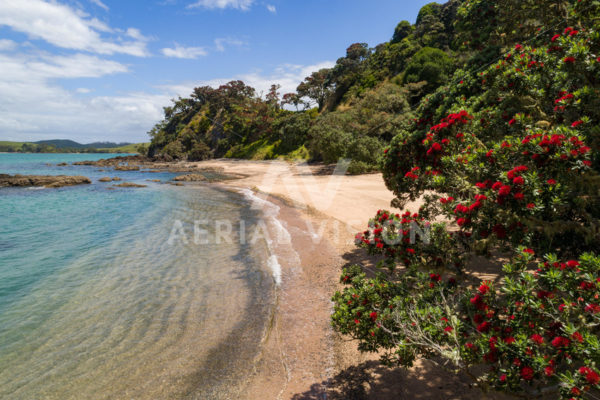 Beach with Pohutukawa - Aerial Vision Stock Imagery
