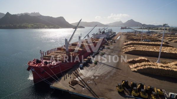 Log ship loading at Northport, Marsden Point - Aerial Vision Stock Imagery