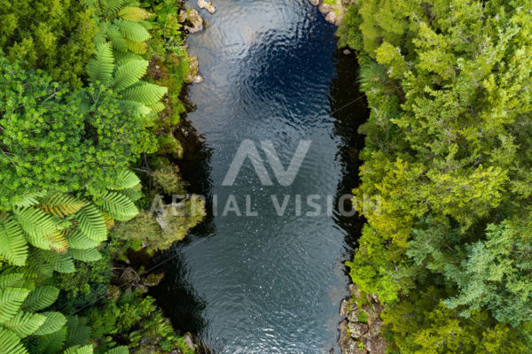River and Punga Trees Top-down - Aerial Vision Stock Imagery