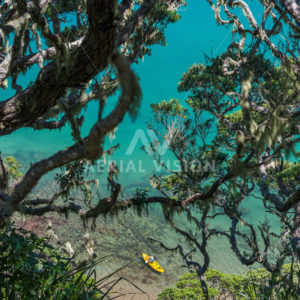 Water view through Pohutukawa Trees with Kayaker – Portrait - Aerial Vision Stock Imagery